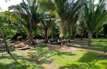 Zipline & River Tubing, Belize