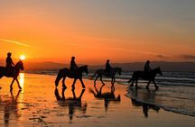 Agadir and Taghazout: 2 Hours Horseback Ride on the Beach