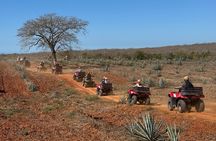 ATV & Temazcal combo with lunch and Mezcal tour