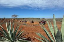 ATV & Temazcal combo with lunch and Mezcal tour