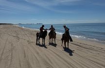 Horseback riding & Temazcal combo with lunch and mezcal tour