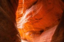 YOU DRIVE! 4 People, 4 Hrs! Ultimate Peekaboo and Hog Canyon Tour