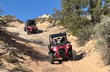 YOU DRIVE! 4 People, 4 Hrs! Ultimate Peekaboo and Hog Canyon Tour