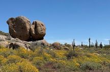 1-2 Hour Sonoran Desert Private Guided Hiking Tour