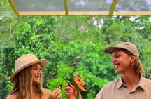 Daintree Sensations 