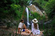 Daintree Sensations 