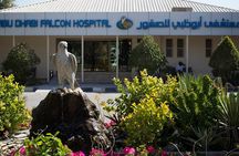 Wings of Heritage Abu Dhabi Falcon Hospital Tour
