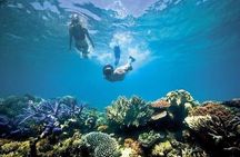Bali Snorkeling at Blue Lagoon with Private Transfer