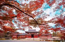 Kyoto Uji Matcha Experience & Nara Private 1-Day Tour