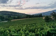 Nemea Premium One Day Wine Gathering