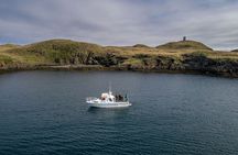 Sea Angling Iceland