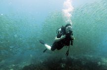 Best Scuba Diving Koh Tao Top Sites from Koh Samui