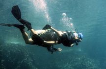 Best Scuba Diving Koh Tao Top Sites from Koh Samui