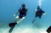 Best Scuba Diving Koh Tao Top Sites from Koh Samui
