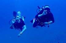 Best Scuba Diving Koh Tao Top Sites from Koh Samui