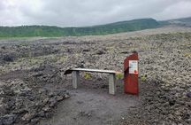 Discover the Wild South with Private Driver