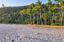 Discover the Wild South with Private Driver