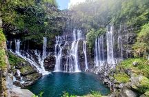 Discover the Wild South with Private Driver