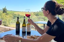 Wine Loves Food: The Perfect Tuscan Lunch & Wine Pairing Secrets