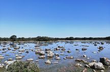The Unesco site of Barumini and the Giara of Gesturi 