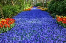 From Amsterdam - Private Keukenhof Garden Tour (Skip-the-line)