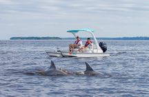 Drive Our Exciting 2 man Go Cat Boat in Downtown Naples
