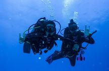 Scuba Diving for Beginners – Tulum Dive Machine