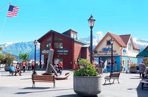 Seward Alaska City Tour and Glacier Viewing