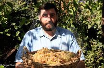 Kakheti Wine Tour - Explore the Art of Kvevri Winemaking