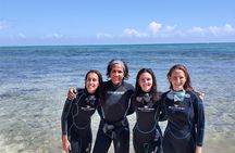Scuba Diving for Beginners – Tulum Dive Machine