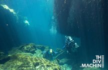 Scuba Diving for Beginners – Tulum Dive Machine