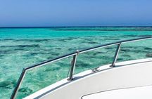 Discover the Secrets of the Sea on a Boat Trip to Bayada Island