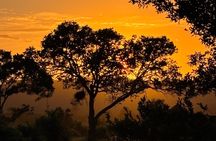 Kruger National Park Full Day Safari