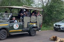 Kruger National Park Full Day Safari