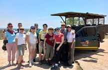 Kruger National Park Full Day Safari