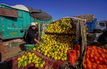 Discover traditional weekly market at the outskirts of Marrakesh