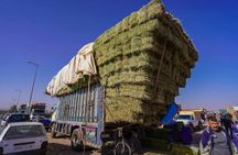Discover traditional weekly market at the outskirts of Marrakesh