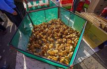 Discover traditional weekly market at the outskirts of Marrakesh