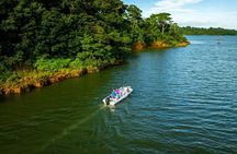 Birdwatching on Boat through Gatun Lake Private tour