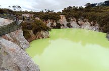 Rotorua to Wai-o-Tapu Thermal Wonderland Shuttle