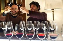  Private Buenos Aires Wine Tasting Experience