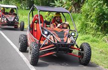 Bali Buggy and Uluwatu Tour Packages