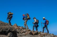 One Day Hike from Kilimanjaro to Mandara