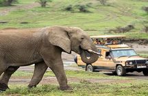 The World's Best 1 Day Tarangire Budget Group Safari From Arusha