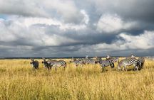 3-Day Maasai Mara Safari Itinerary