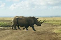 3-Day Maasai Mara Safari Itinerary