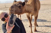 Kuwait: Half-Day City & Desert Tour with Pick-Up & Drop-Off