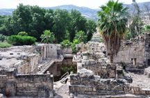 Golan Heights Private Tour