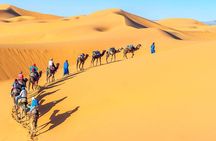 Day Tour To Cairo and Giza Pyramids from Alexandria Port