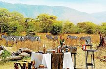 The Ultimate Guide for 2-Day Tanzania Safari from Mwanza 